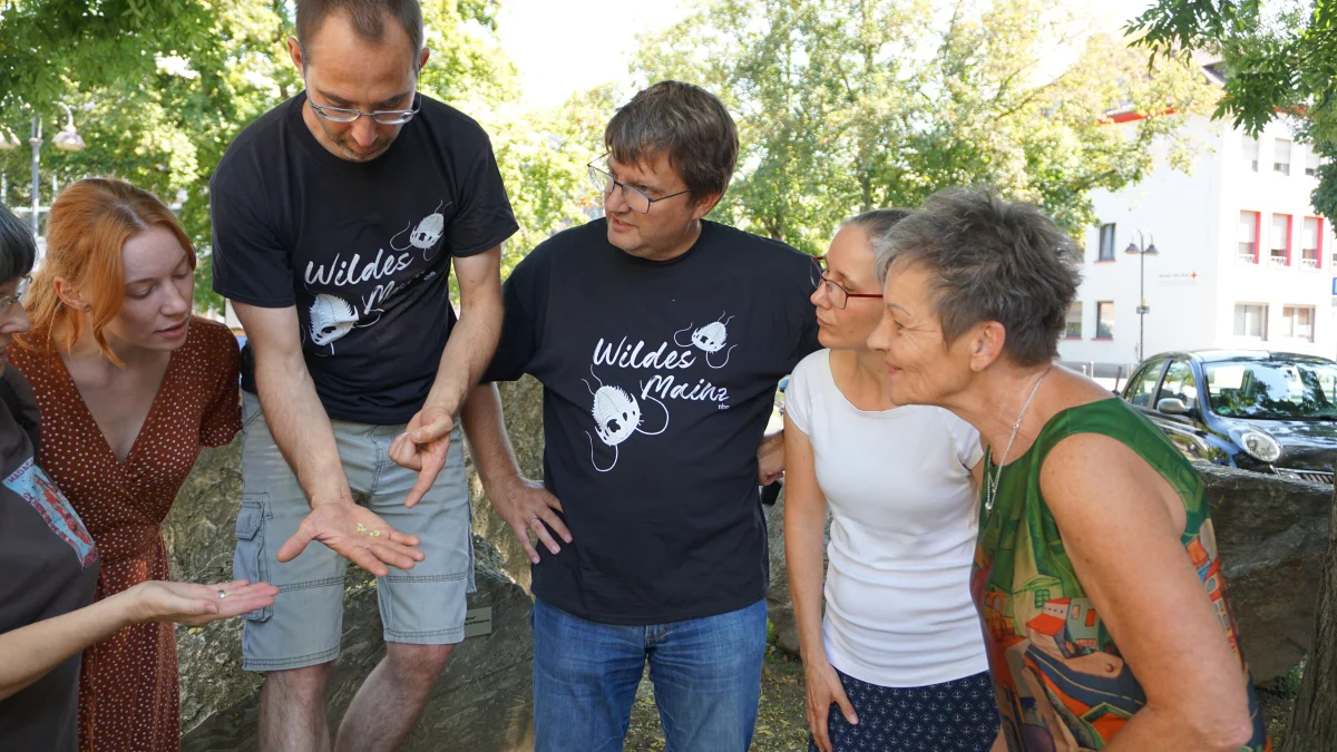 FLORA meets Wildes Mainz in June